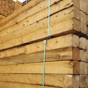 Nhập khẩu gỗ Pine